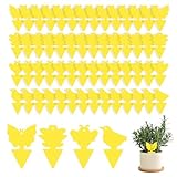 60 Stück Gelbsticker Trauermücken Bekämpfen,Doppelseitig Fruchtfliegenfalle mit Spanngurten Fliegenfalle für Die Schädlingsbekämpfung im Innen- und Außenbereich