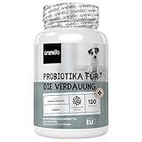 Probiotika für die Verdauung bei Hunden - 120 Darm Kapseln - Unterstützt Darmgesundheit, Magen Darmflora - Mit Lactobacillus, Leinsamen & Prebiotika - Darmreinigung & Verdauungsenzyme Hund - animigo