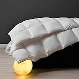 DWR Daunendecke 200x200cm Winter Bettdecke, Bettdecke aus Gänsedaunen und Federn, Extra Warm Winterdecke,Oeko und RDS Zertifiziert,Weiche Federbettdecke,Weiß