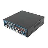 TONFEION HiFi-Verstärker, Mini Stereo Amplifier Bluetooth Audioverstärker 30Wx2 Audio Vollverstärker 12V, 5A, Stereo Receiver mit 2 Mikrofoneingang Echo, USB, SD, MP3 für Zuhause oder Auto