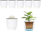 T4U 12cm Selbstbewässerung Blumentopf mit Docht Kunststoff Pflanzentopf, Selbstbewässerungstopf für Orchideen, Basilikum Topf, Blumentopf Klein Set Weiß 6er-Set