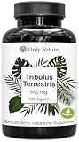Tribulus Terrestris Kapseln – 180 Stück – Hochdosiert mit 90% Saponinen – Natürlicher Testosteron Booster für mehr Energie, Muskelaufbau & Leistungssteigerung – 550 mg pro Kapsel – Made in Germany