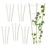 Bambus Rankgitter 75 x 35 cm Natur - 6er Set - Holz Kletterhilfe konisch für Rankpflanzen – Garten Pflanzenstütze Rankhilfe Tomaten Gurken Pflanzen Rankleiter Klettergitter Gartenspalier