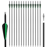 NorthSpoor 14 Stück Carbonpfeile 31 Zoll mit abnehmbaren Pfeilen für Jugend und Erwachsene, Bogenschießübungen, Bögen und Pfeile für Outdoor Training