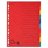 Falken Karton-Register (1, 10-teilig)