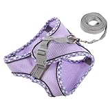 HOLIDYOYO Kleines Hundegeschirr Set XXS mit Weichem Verschleißfestem Material und Zugschutz Komfortables Brustgeschirr Haustierzubehör für Welpen und Kleine Hunde Inklusive Leine für