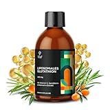 Vinplus Liposomales Glutathion mit Sanddorn- & Rosmarin-Extrakt | Hochdosiertes & Bioverfügbares L-Glutathion reduziert (GSH) (400 mg) (Flüssig) | Mit Vitamin C (700 mg) | Made in Germany | 250 ml