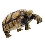 Garneck Schildkrötenmodell aus Kunststoff Kognitives Tiermodell für Fördert Tiererkennung und Kreativität Lernspielzeug und Dekoration für Zuhause oder Garten