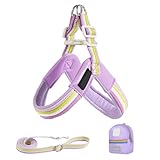 Dioeazh Hundegeschirr und Führleine | Verstellbares Welpen Brustgeschirr Mit Gurt,Inklusive Aufbewahrungstasche Atmungsaktiv Passform Für Training Wandern Spazieren Tierbedarf