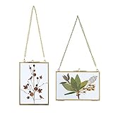 SUMTree 2Pcs Bilderrahmen aus Glas und Metall,Hängende Glas Fotorahmen,Pflanze Probe Clip,Für gepresste Blumen,Fotos,Nur Glasrahmen（Golden,10x15cm,Rechteck）