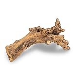 NaDeco Kuwa Deko-Wurzel, in den Größen 25-30 cm und 40-50 cm wählbar | Deko-Wurzel für Terrarien | Holzdeko | Deko-Holz | Terrarium-Dekoration | Deko-Wurzelholz | Echte Wurzel, Größe:40-50 cm