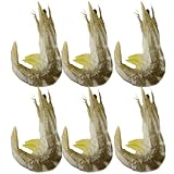 ERINGOGO 6 Stück Teiliges Realistische Garnelenmodelle aus Simulierte Garnelen Dekoration für Fotorequisiten und Heimdekoration