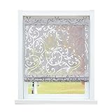 SCHOAL Raffrollo ohne Bohren Raffgardinen Ausbrenner Gardinen Transparent Ösenrollo Vorhänge mit Ösen 1 Stück BxH 100x130 cm Grau