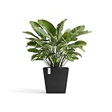 Ecopots Blumentopf Ecopets Rotterdam Dunkelgrau UV-beständig Recyceltes Material Wassertank Handgefertigt Quadrat