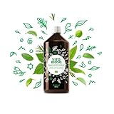 Vita Biosa Original 1 L in Bio Qualität - das beliebte aktivierte Kräuterfermentgetränk - enthält effektive Mikroorganismen