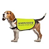 Lustige Hundejacke mit Aufschrift 'Nervous Around Other Dogs'