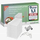 Exeta 14x Gewächshausplatten 4 mm I Polycarbonat Hohlkammerplatten für Gewächshäuser I Set inkl. 50 W-Klammern & 50 Z-Clip I PC Doppelstegplatten bruchsicher I 60,5cm x 121cm I Transparent