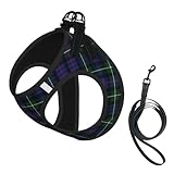 Set aus Hundegeschirr und Leine mit Karomuster, Lila und Grün, kein Ziehen, süße, reflektierende, verstellbare Weste für kleine Hunde, atmungsaktives Mesh-Welpengeschirr zum Spazierengehen und Wande