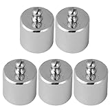 HEALEEP Kalibriergewichte 5 Stück 100g Verchromte Justiergewichte für Elektronische Waagen und Professionelle Messungen