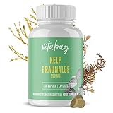 Vitabay Kelp 500 mg • 250 Kapseln • Braunalge • Bioverfügbar • Natürliche Jod-Quelle • Essentielles Spurenelement • Bis zu 750 µg Jod pro Kapsel • Made in Germany