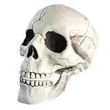 SYTTNUM Halloween Beweglicher Kiefer voller Kopf Schädel,Deko Schädel Jawbone,Realistische Skelett Schädel 1:1 Replica Kopf Knochen Modell für Halloween Party Home Friedhof im Freien Gruselige Dekor