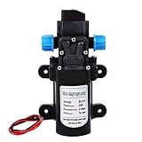 Wasserpumpe, 12V Selbstansaugend 60W 5L/Min Druckpumpe Wasser mit Druckschalter Pumpe Selbstansaugend Membran Wohnmobil Wasserpumpe Hochdruck Pumpe Druckwasserpumpe