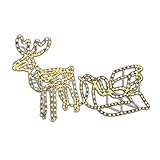 Nipach GmbH Rentier mit Schlitten aus 14 m Lichterschlauch 336 LED Figur Weihnachtsbeleuchtung 140 cm Länge Leuchtfigur Weihnachtsdekoration Fassadendeko Xmas (336 LED)