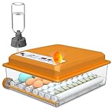 Chalixion Brutautomat Vollautomatisch 36 Eier mit Temperaturregelung, Brutmaschine mit 5 automatischen Brutmodi, Inkubator Feuchtigkeitsanzeige, Brutkasten automatischer Wasserauffüllung und Eierwende