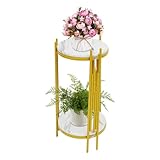 CHFUNE 2 Etagen Blumenständer Pflanzenregal 77cm Pflanzenständer Plant Stand Shelf Blumentreppe Pflanzentreppe für Wohnzimmer, Balkon und Büro deko