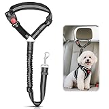 Anschnallgurt Hund Auto, Verstellbarer Hundegurt fürs Auto Sicherheitsgeschirr Hund, Hunde Sicherheitsgurt, Hunde Anschnallgurt mit Elastischer für Kleine und Mittelgroße Welpen