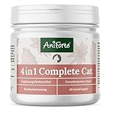 AniForte 4in1 Complete Cat 60g - Rundumversorgung für Katzen, Reich an Antioxidantien, Vitaminen, Mineralien, Pulver mit Taurin, Kollagen für Gelenke, Nervensystem, Immunsystem, Magen-Darm