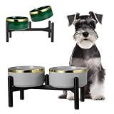 Keramik Hundenapf Erhöht mit Edelstahl-Ständer - Doppelnapf Futterstation für Kleine und Mittelgroße Hunde - rutschfest Hund Napf Set für Futter und Wasser - 350g / 660ml - 15cm - Grau
