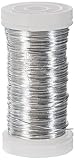 Rayher 2400121 Blumendraht, platin, 0,35 mm ø, Spule 100 m, Material Eisen, nickelfrei, Basteldraht, Wickeldraht, silber