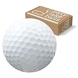 100 Marken Mix LAKEBALLS/GOLFBÄLLE - easylakeballs - QUALITÄT AAAA/AAA - IM NETZBEUTEL