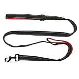 ibasenice Hundeleine für Kleine und Mittelgroße Tragbar und Bequem für Outdoor Aktivitäten Strapazierfähiges Material und Ergonomisches Design