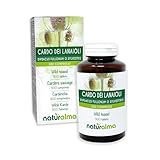 Wilde Karde (Dipsacus fullonum oder Dipsacus sylvestris) Wurzeln Naturalma - 150 g - 300 Tabletten - Nahrungsergänzungsmittel - Natürlich und Vegan