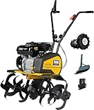 TEXAS Gartenfräse Motorhacke Bodenhacke Lilli 535TG Set Bodenfräse Benzin mit Antrieb mit Pflug und Rädersatz | 36-85 cm Arbeitsbreite | 4000 Watt | 5,5 PS | 33cm Tiefe | Vorwärts- und Rückwärtsgang