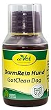 cdVet Naturprodukte DarmRein Hund 100 ml - Hund - Ergänzungsfuttermittel - Unterstützung der Futteraufnahme + der natürlichen Darmflora - Verdauungsstörungen - Durchfall - Brechreiz - Darmprobleme -