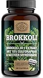 Brokkoli Kapseln -WICHTIG: 30000mg Brokkolisprossen Hochdosiert (30:1 Extrakt) pro Dosis -50mg Sulforaphan je Kapsel mit Aktiver Myrosinase- Laborgeprüft + Vegan -DE- SCHEUNENGUT®
