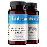 Glucosamin Chondroitin MSM + Zink – 200 Kapseln mit Zink für normale Knochenfunktion und Zellschutz von BIOHERBA PZN 17190938