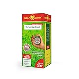 WOLF-Garten Turbo-Nachsaat zur Rasensanierung LR25 (für 25 m², hohe Dichte mit ca. 70.000 Trieben/m², für alle Rasentypen geeignet, mit WOLF-Garten Keimgarantie, 500g in Faltschachtel) 3826020