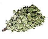 Saunabesen aus Birke – Frischer Sauna-Quast für Rituale & Wellness – Naturprodukt mit ätherischen Ölen – 1–2 Anwendungen (1)