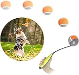 PAWISE Ballwerfer für Hunde, 31,8 cm, mit 5,8 cm Tennis, tragbarer Ballwerfer für kleine bis mittelgroße Hunde, für den Innen- und Außenbereich, langlebig und leicht zu reinigen