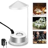 UNISOPH Nebler, 24v Ultraschall Vernebler, Nebelmaschine Min I350ml/H, Nebelmaschine Mini Geeignet Für Teiche, Aquarien, Gärten, Halloween-Kürbisse Und Hexentöpfe, Eu-Stecker