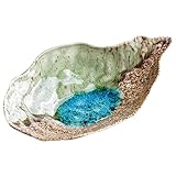 Ciieeo Austernschale Teller Porzellan Snack Gericht Servierplatte Teezeit