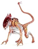 NECA - Aliens Kenner Tribute ULT Panther Alien 7 Action Figure