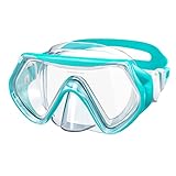 Findway Taucherbrille Kinder,Schwimmbrille Kinder Schnorchelmaske für Jungen Mädchen Jugendliche,Tauchmaske mit Nasenabdeckung 180°Panorama HD Anti Nebel Anti-Leck Taucherbrille für Kinde r 6-16 Jahre