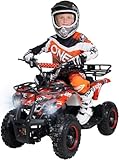 Actionbikes Motors Kinder Elektro Miniquad ATV Torino 1000 Watt 36 Volt - Scheibenbremsen - Umweltfreundlicher Elektromotor (1000 Watt Schwarz Weiß Rot Polo)