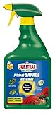 Substral Celaflor Pilzfrei Saprol Rosen AF, 750ml Sprühflasche - anwendungsfertiges Spray gegen Pilzkrankeiten an Rosen
