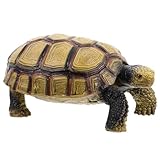 Toddmomy Schildkröten Ornament aus Kunststoff Kognitive Tierfigur für Dekoratives zur des Naturinteresses Robuste und Langlebige Landschildkröte für Lernwerkzeuge